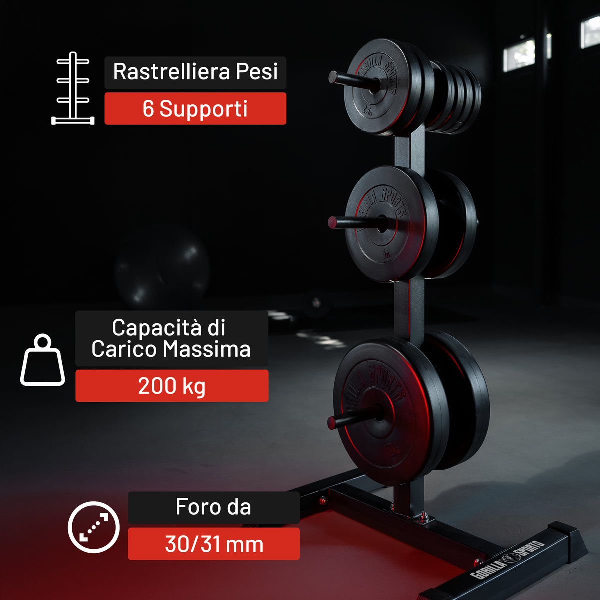 Rastrelliera Porta Dischi con 3 Supporti, 30/31 mm, in nero/bianco