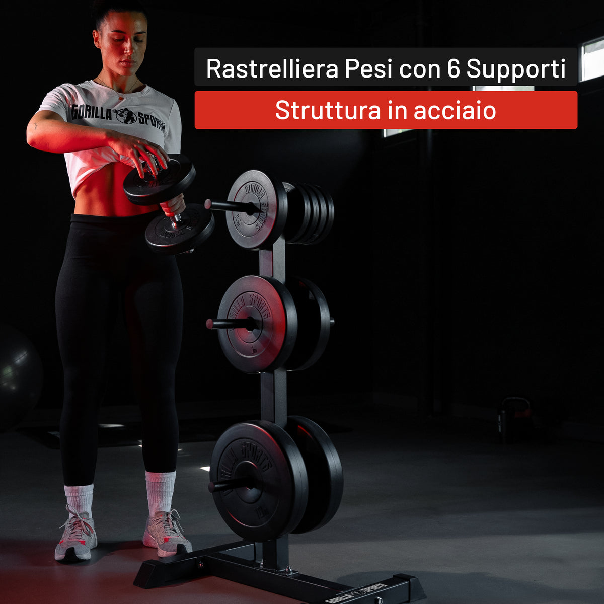 Rastrelliera Porta Dischi con 3 Supporti, 30/31 mm, in nero/bianco