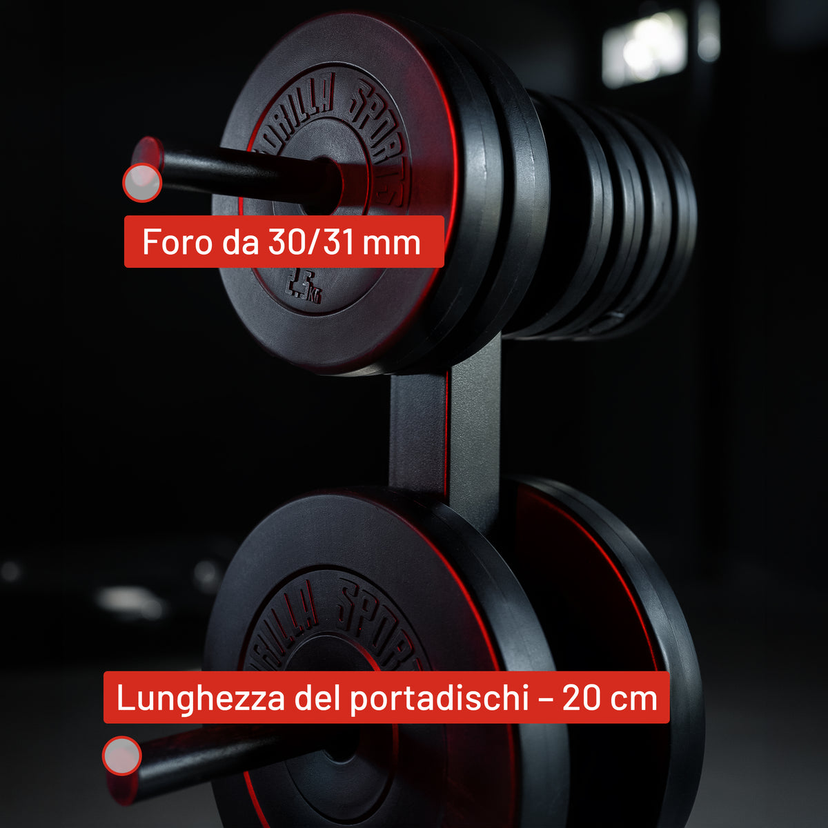 Rastrelliera Porta Dischi con 3 Supporti, 30/31 mm, in nero/bianco