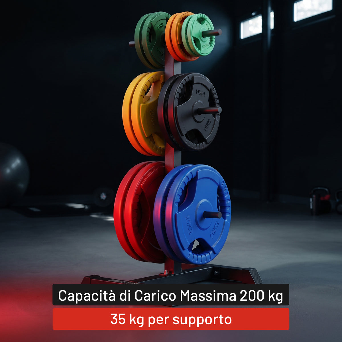 Rastrelliera Porta Dischi con 3 Supporti, 30/31 mm, in nero/bianco