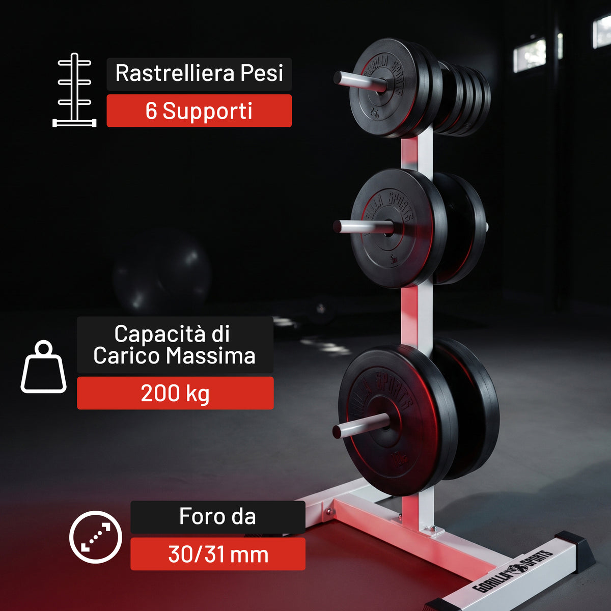 Rastrelliera Porta Dischi con 3 Supporti, 30/31 mm, in nero/bianco