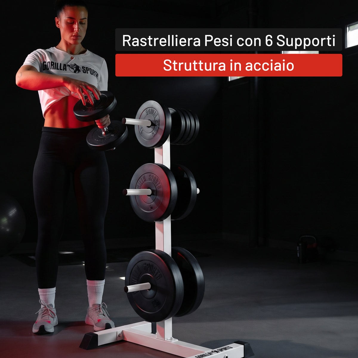 Rastrelliera Porta Dischi con 3 Supporti, 30/31 mm, in nero/bianco