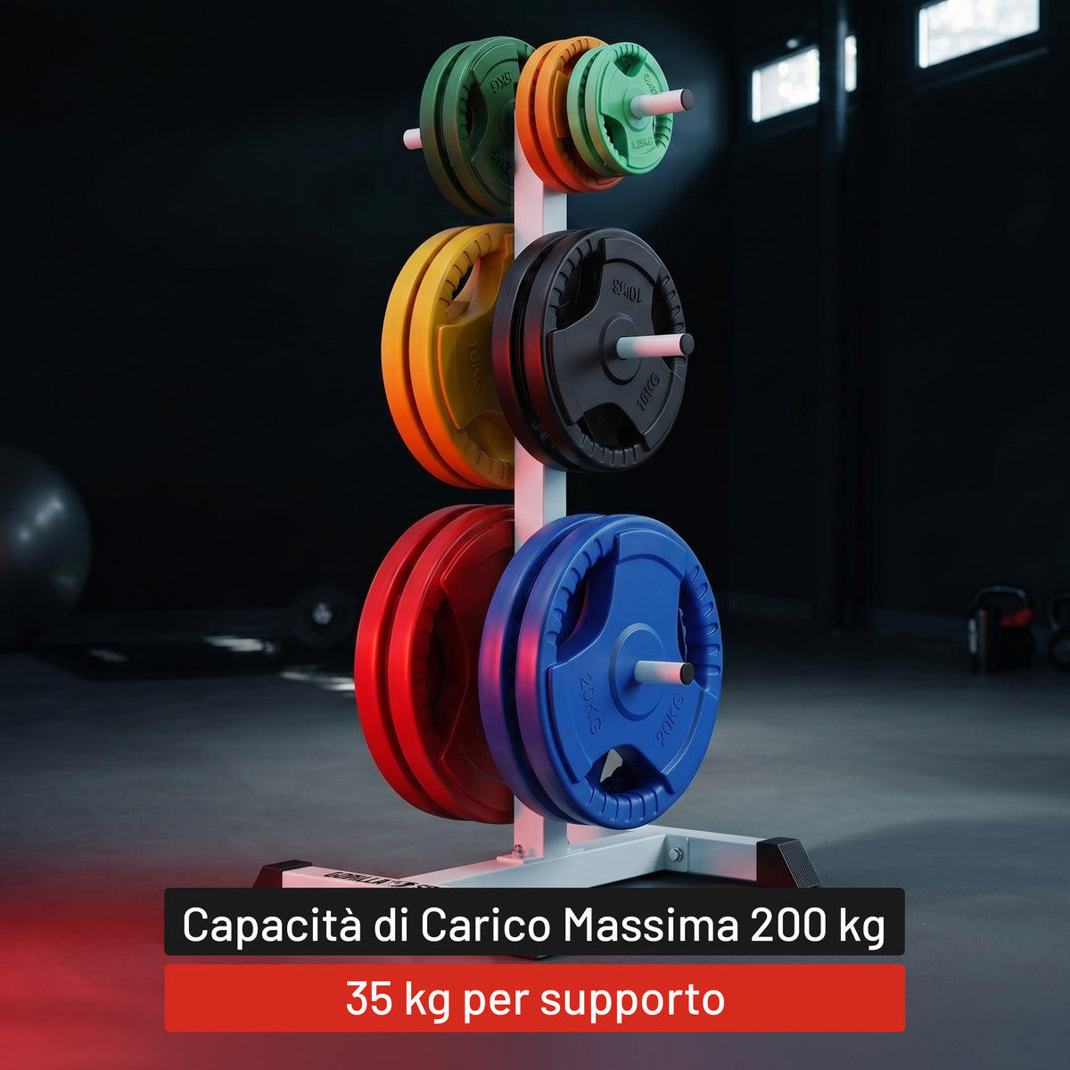 Rastrelliera Porta Dischi con 3 Supporti, 30/31 mm, in nero/bianco