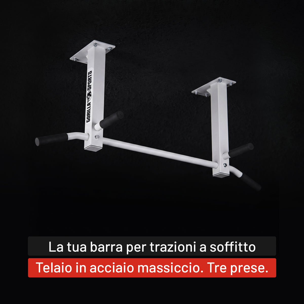 Barra per Trazioni a Soffitto 350 kg