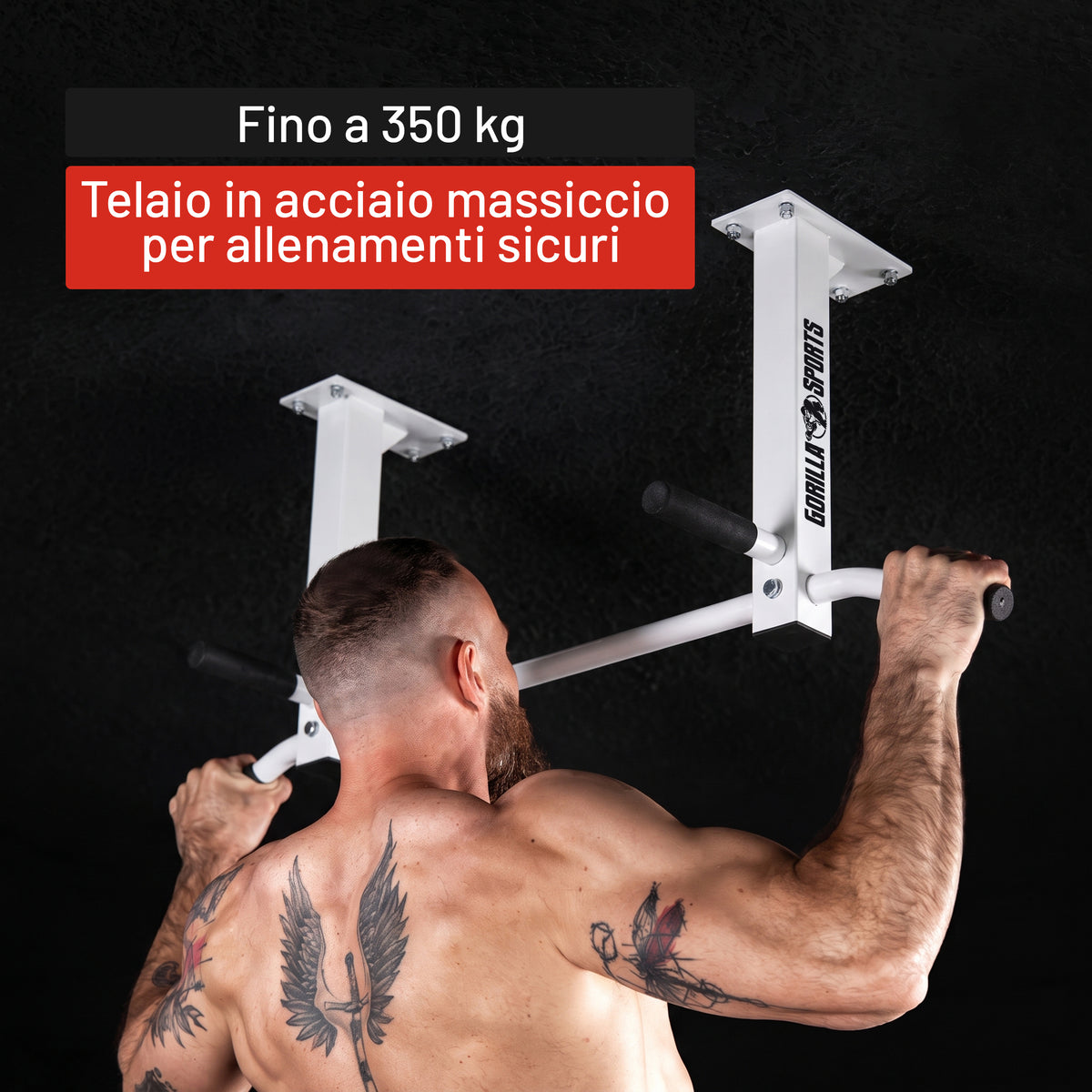 Barra per Trazioni a Soffitto 350 kg