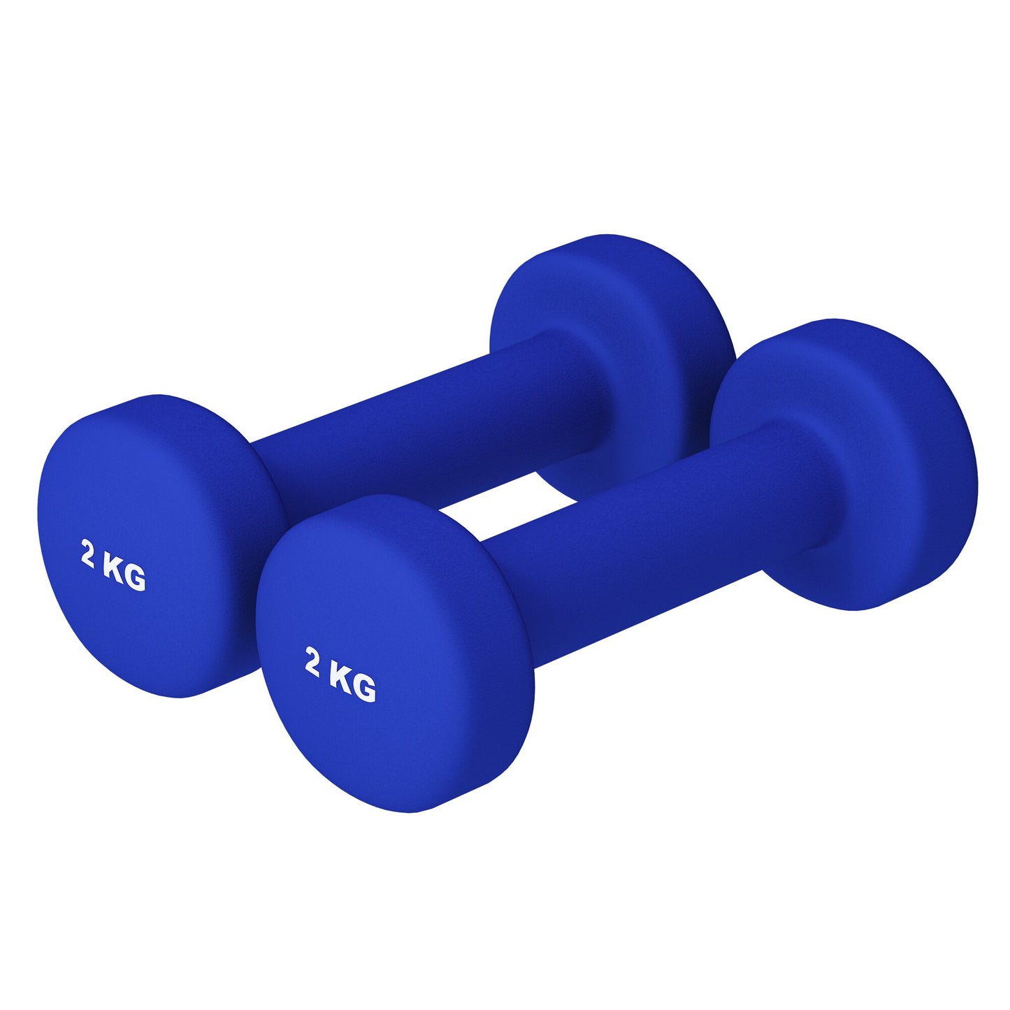 Coppia di manubri fitness Gorilla Sports blu 2 kg per allenamento bodybuilding