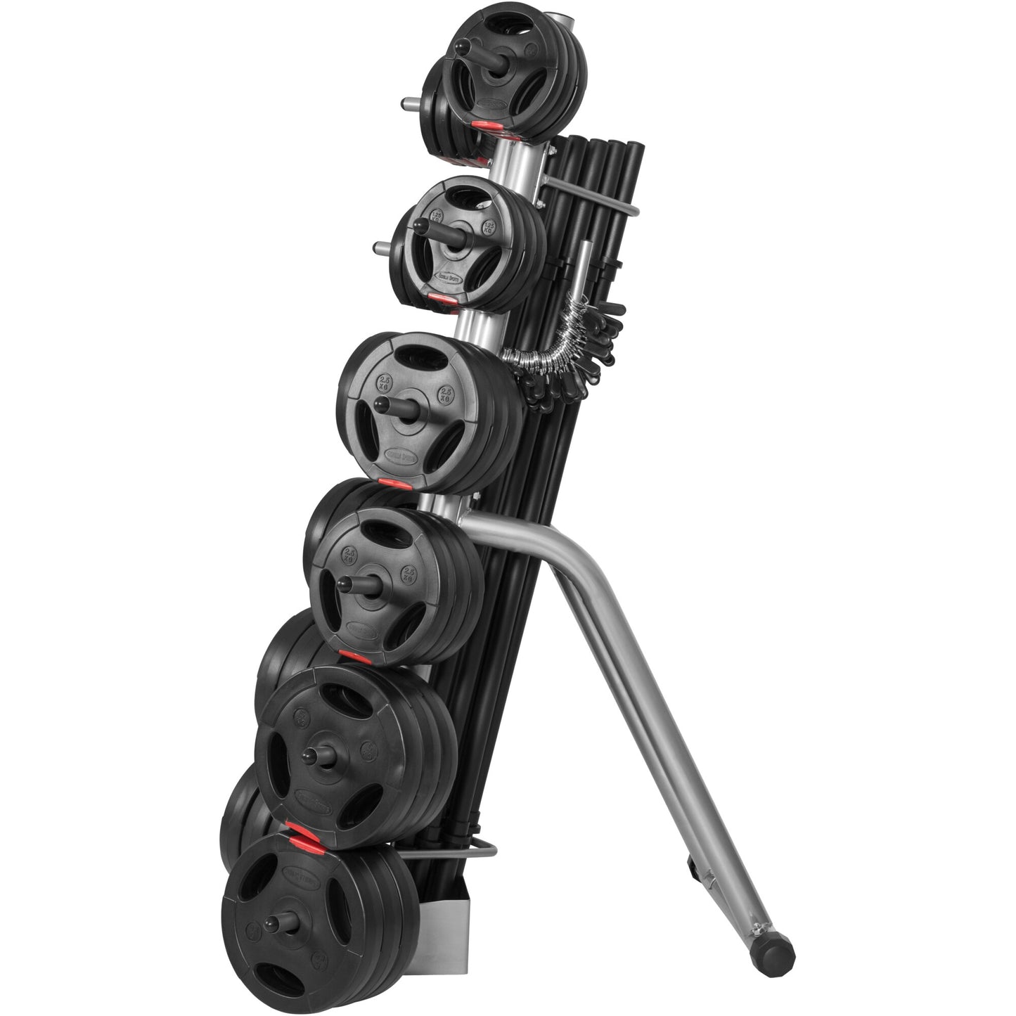 Rastrelliera Porta Dischi con 12 Supporti, 31 mm