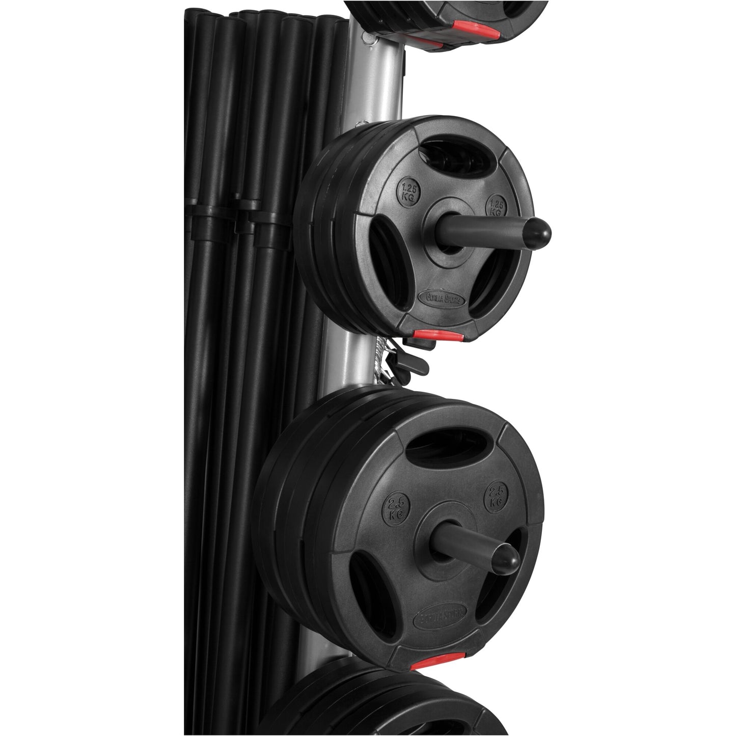 Rastrelliera Porta Dischi con 12 Supporti, 31 mm