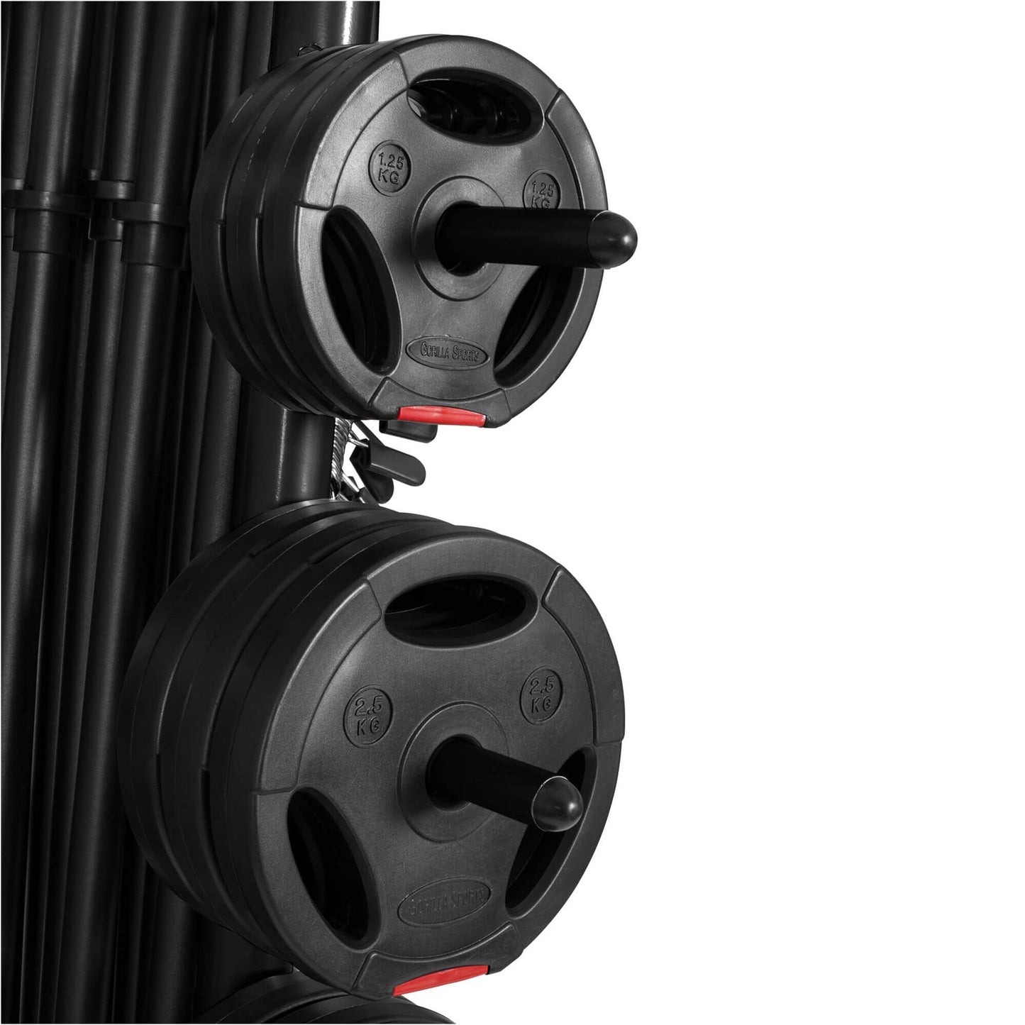 Rastrelliera Porta Dischi con 12 Supporti, 31 mm