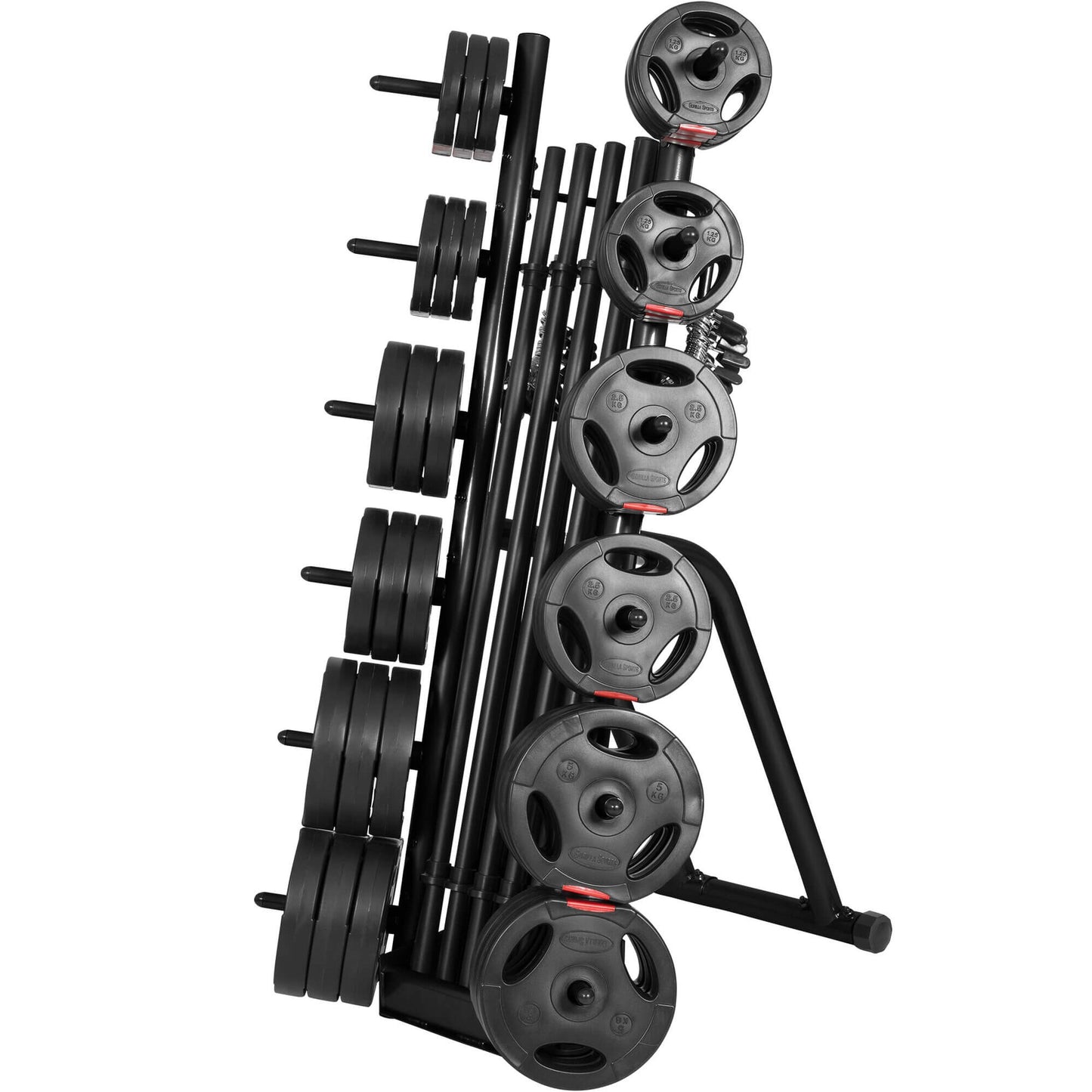 Rastrelliera Porta Dischi con 12 Supporti, 31 mm