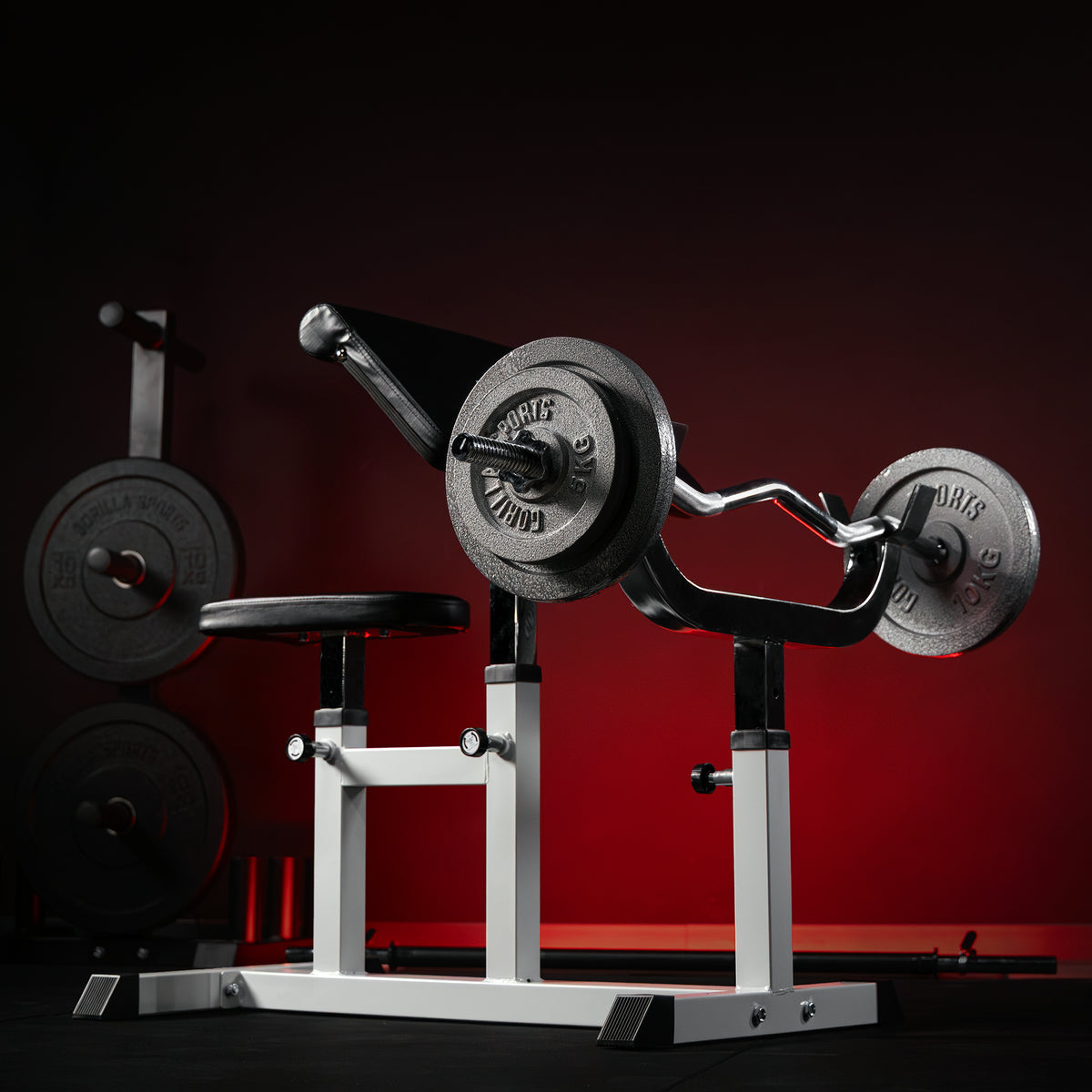 Panca Curl con Bilanciere da 120 cm