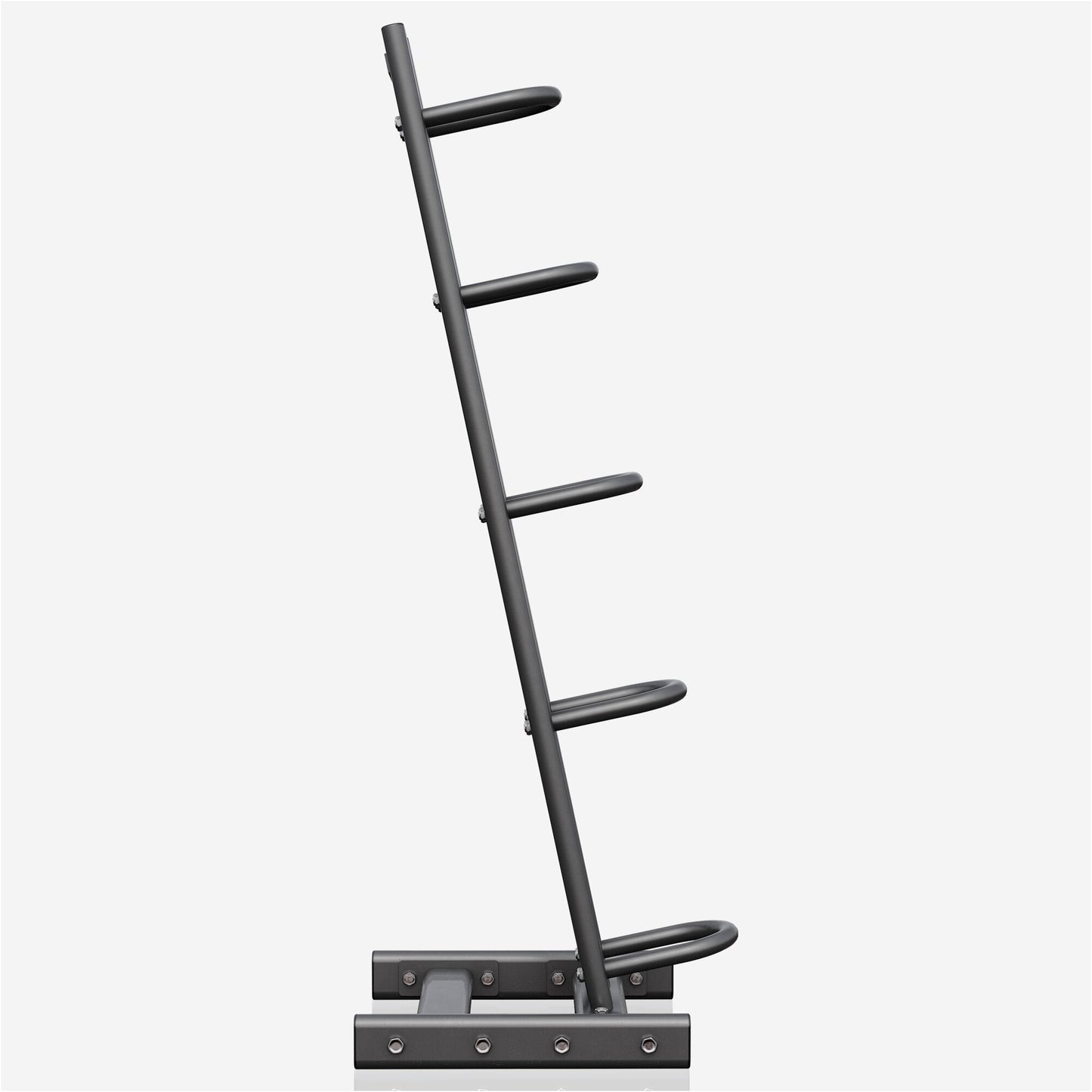 Supporto Palle Mediche 100 kg