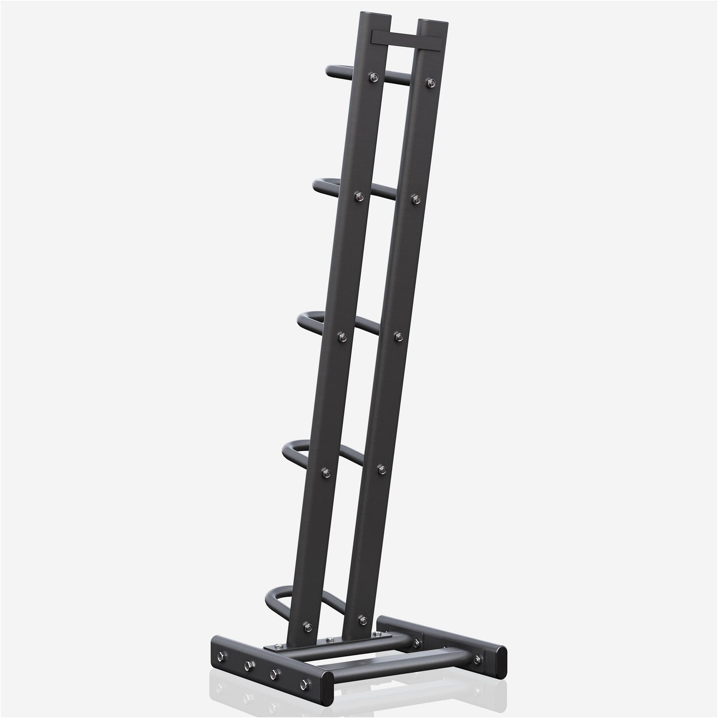Supporto Palle Mediche 100 kg