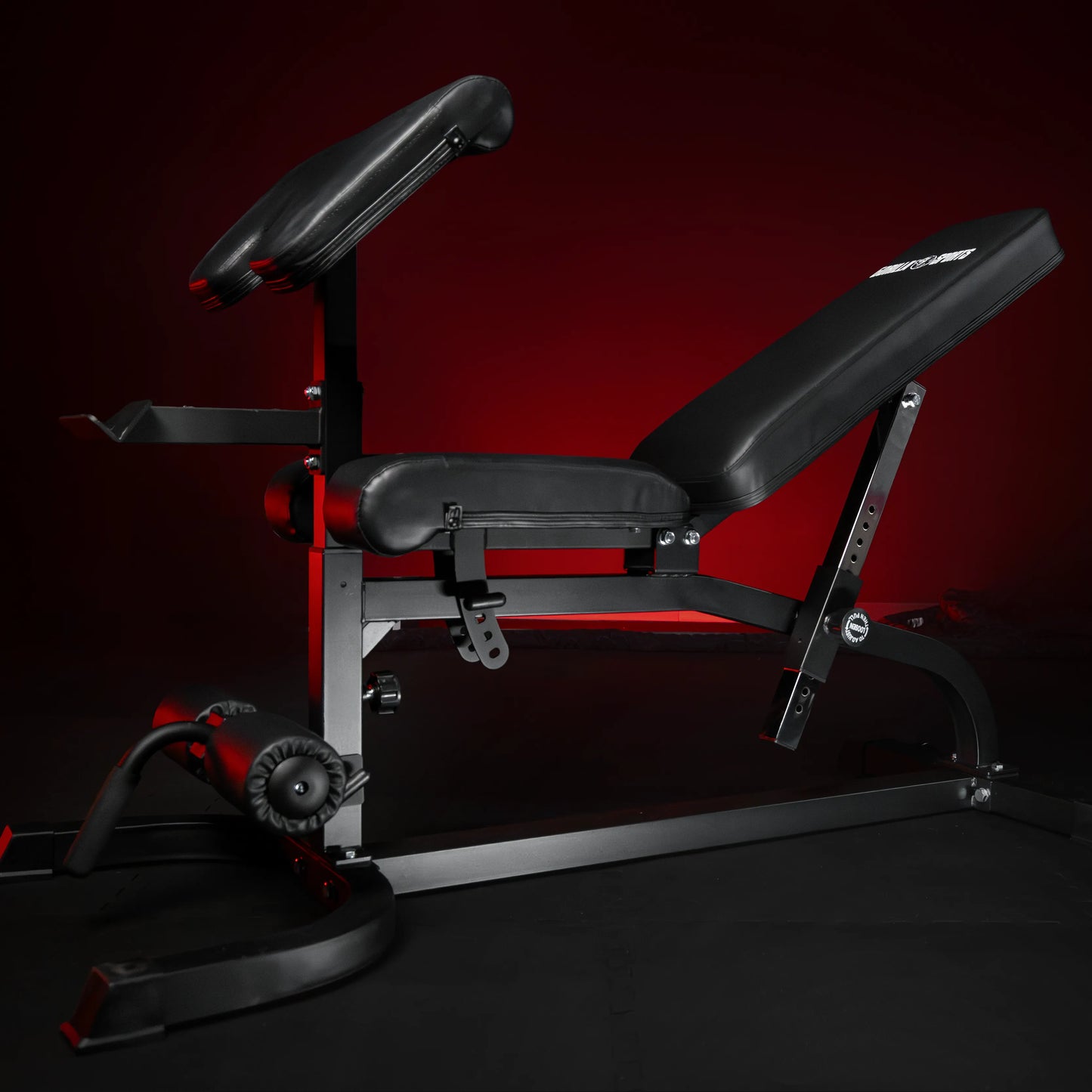 Panca Inclinata con Panca Scott e Leg Extension