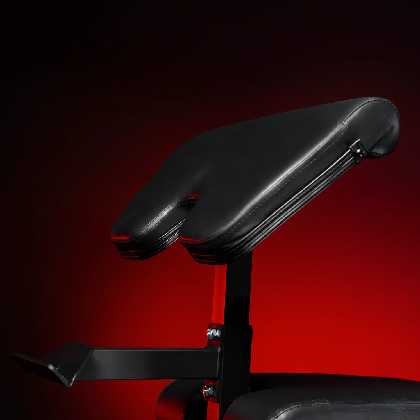 Panca Inclinata con Panca Scott e Leg Extension