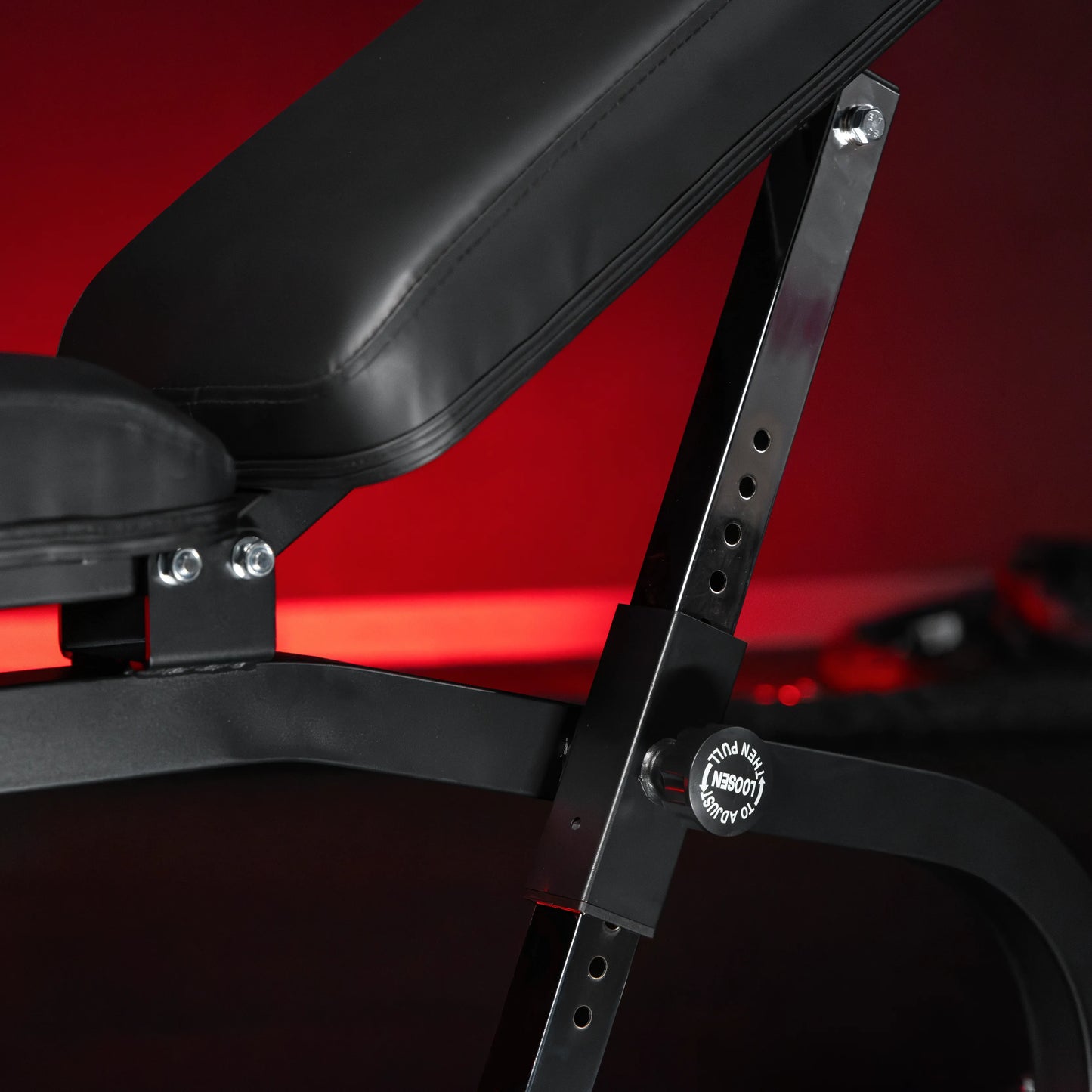 Panca Inclinata con Panca Scott e Leg Extension