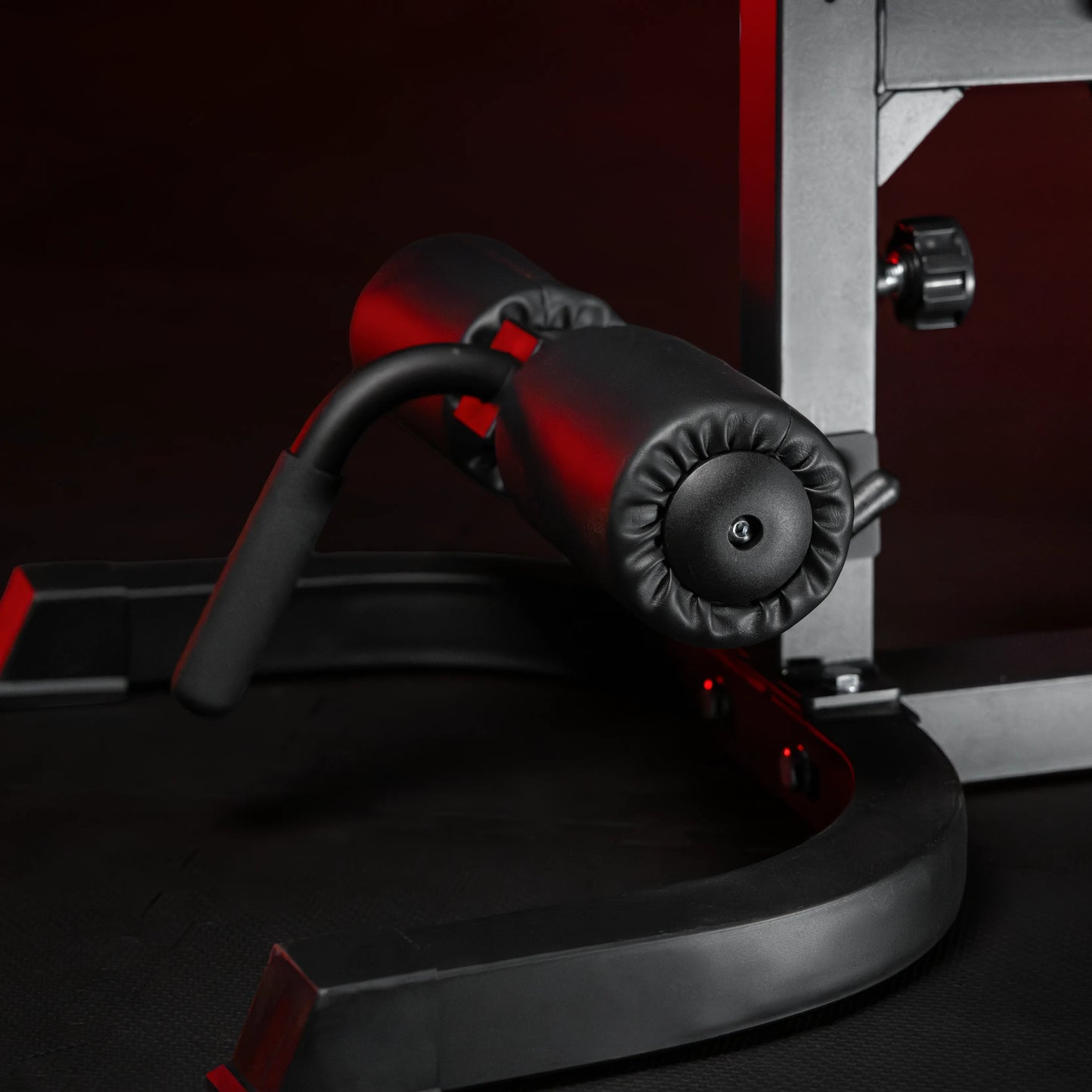Panca Inclinata con Panca Scott e Leg Extension