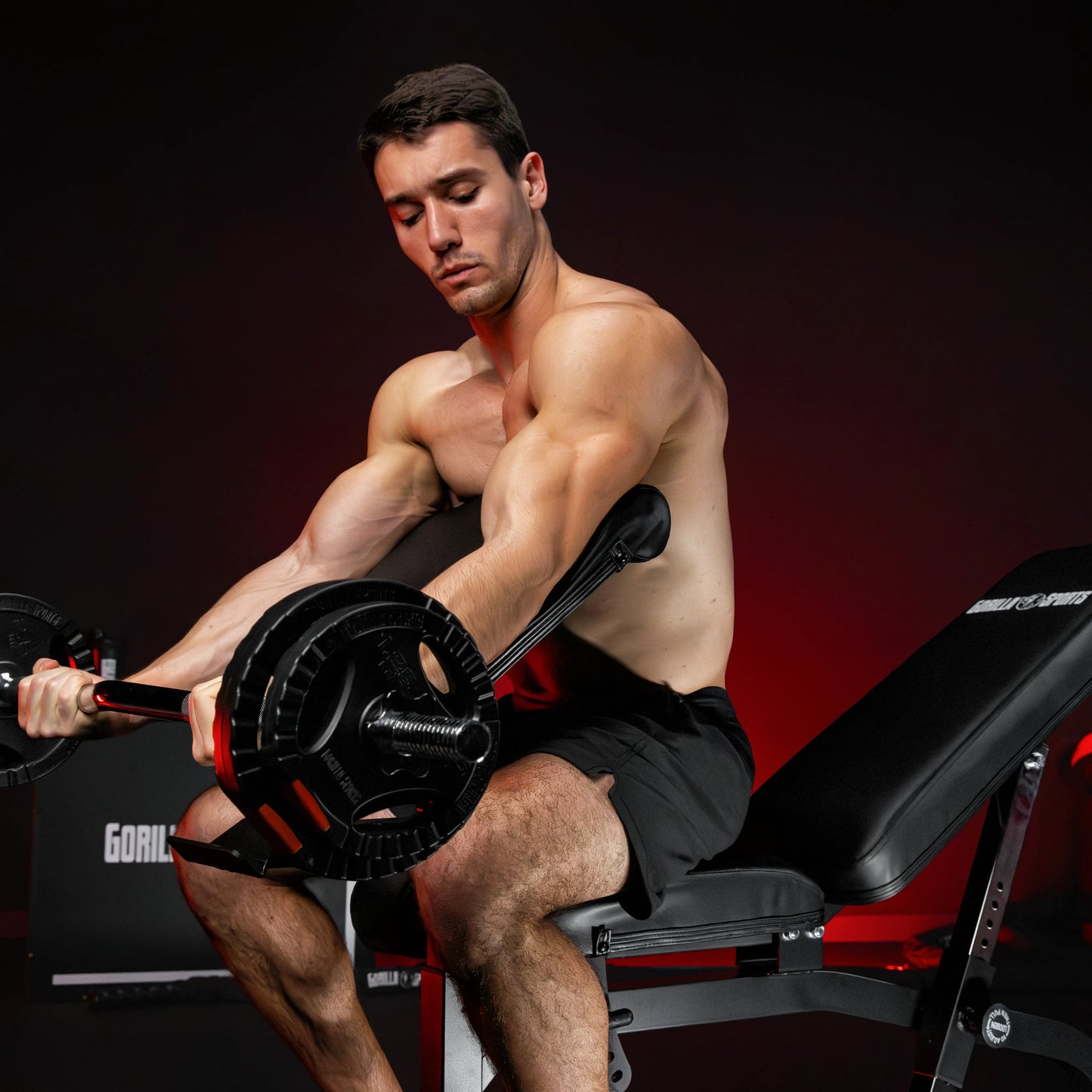 Panca Inclinata con Panca Scott e Leg Extension