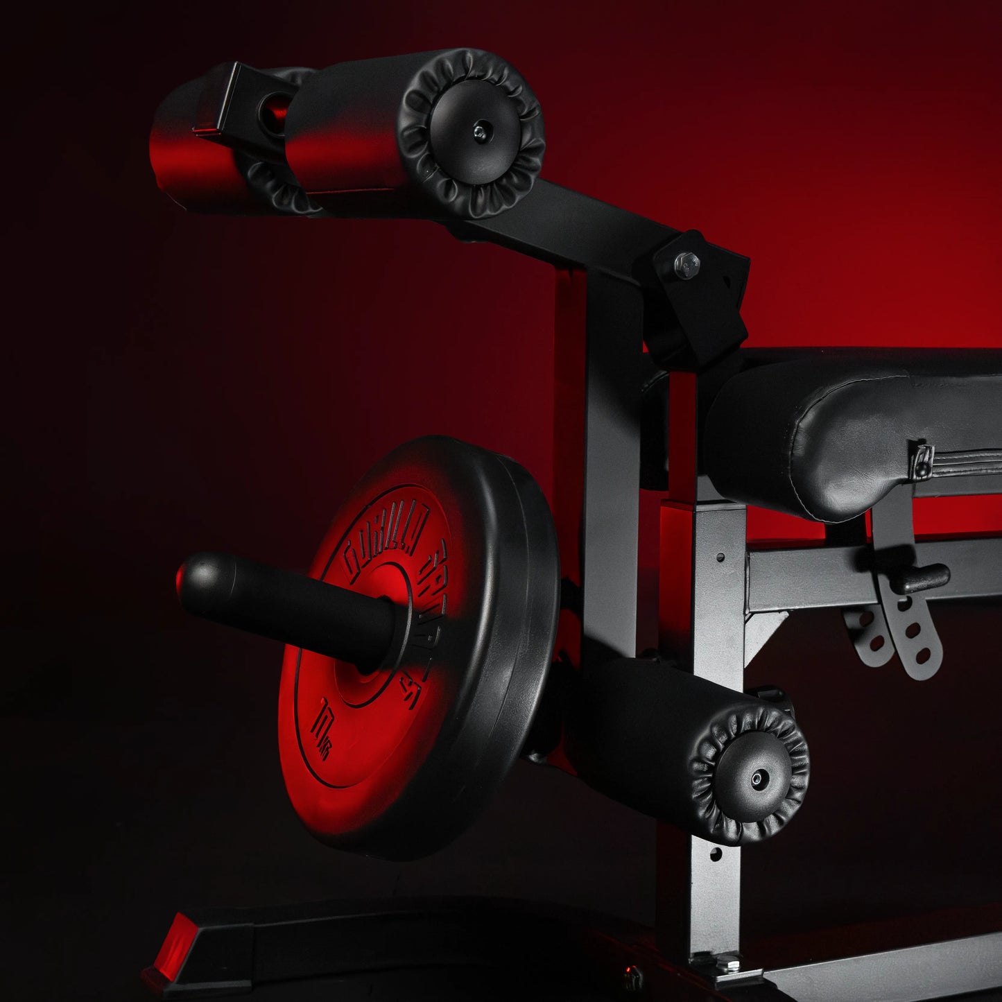 Panca Inclinata con Panca Scott e Leg Extension