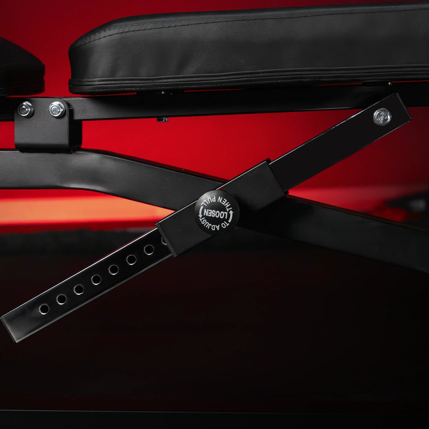 Panca Inclinata con Panca Scott e Leg Extension