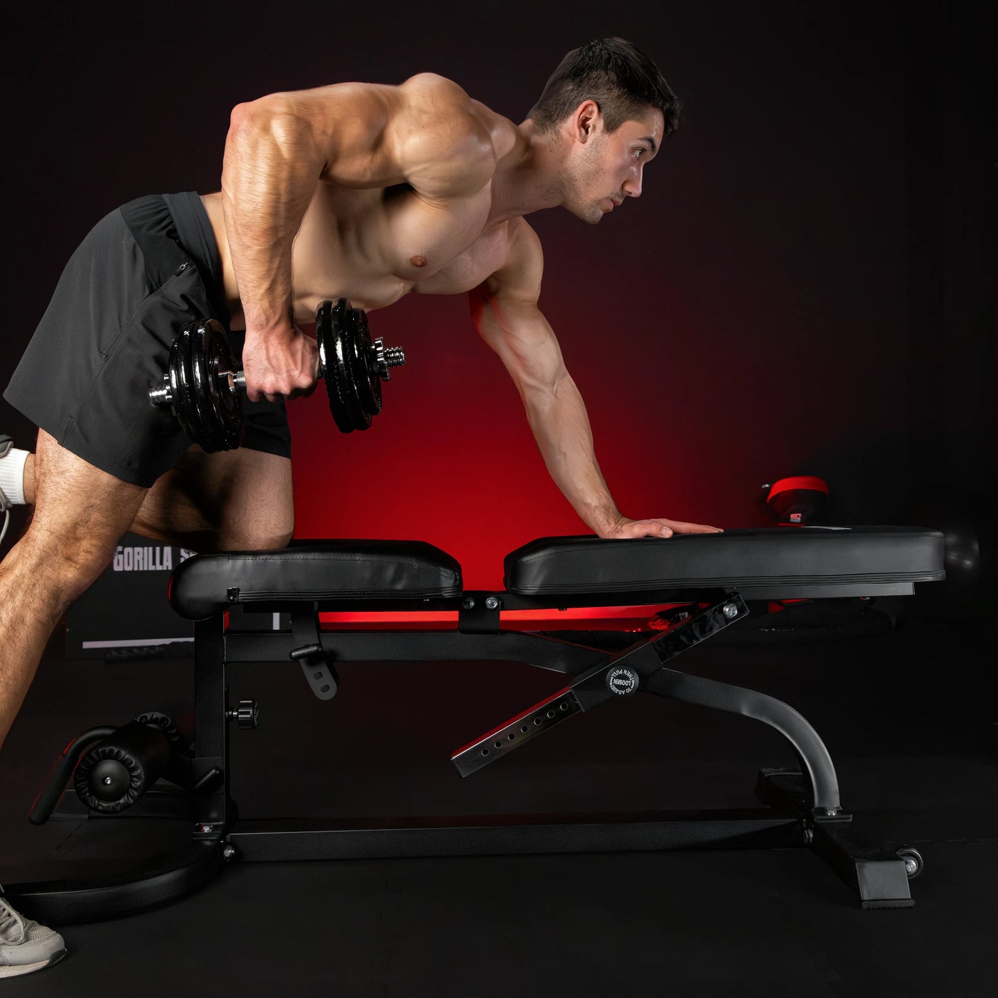 Panca Inclinata con Panca Scott e Leg Extension