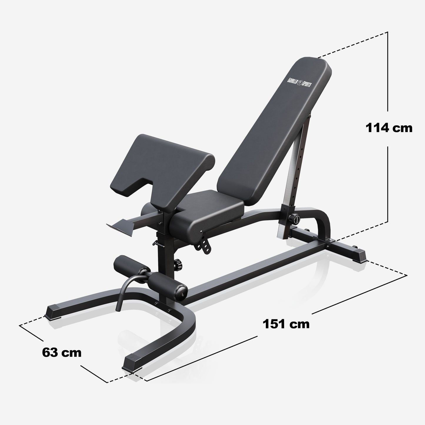 Panca Inclinata con Panca Scott e Leg Extension
