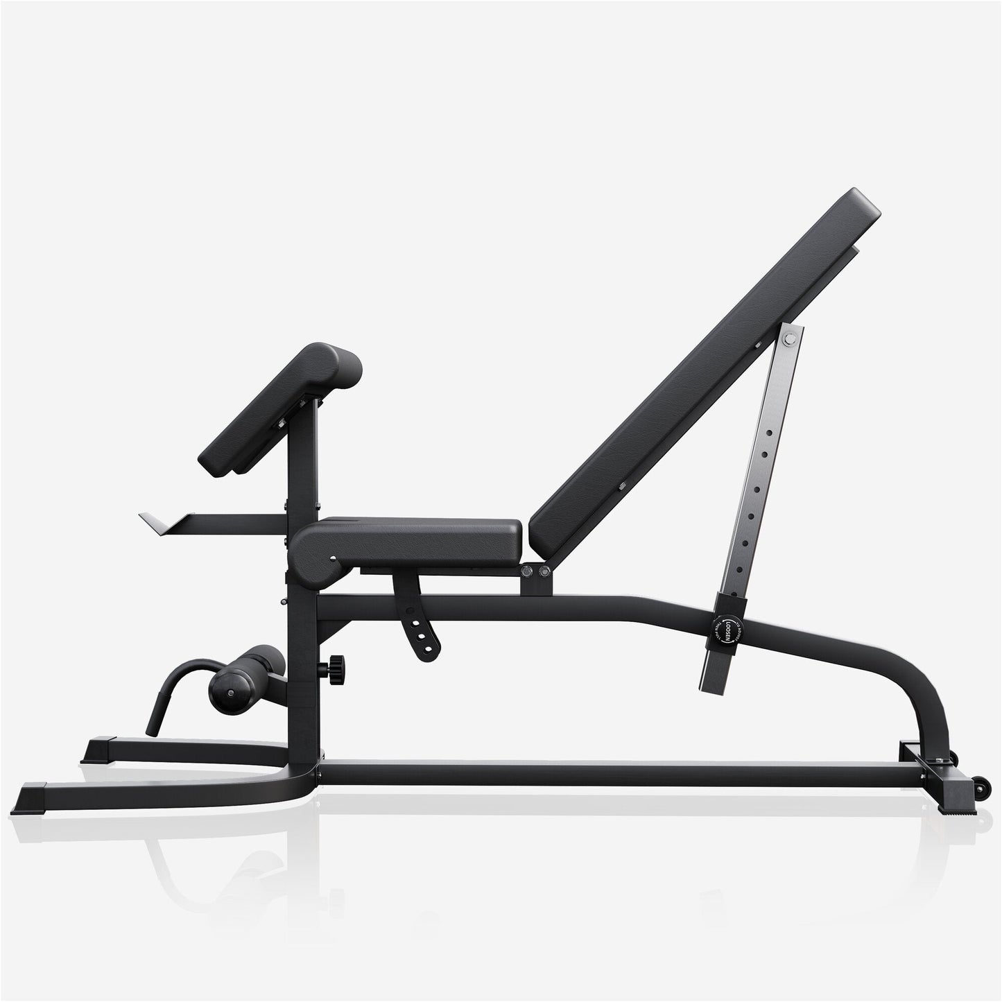 Panca Inclinata con Panca Scott e Leg Extension