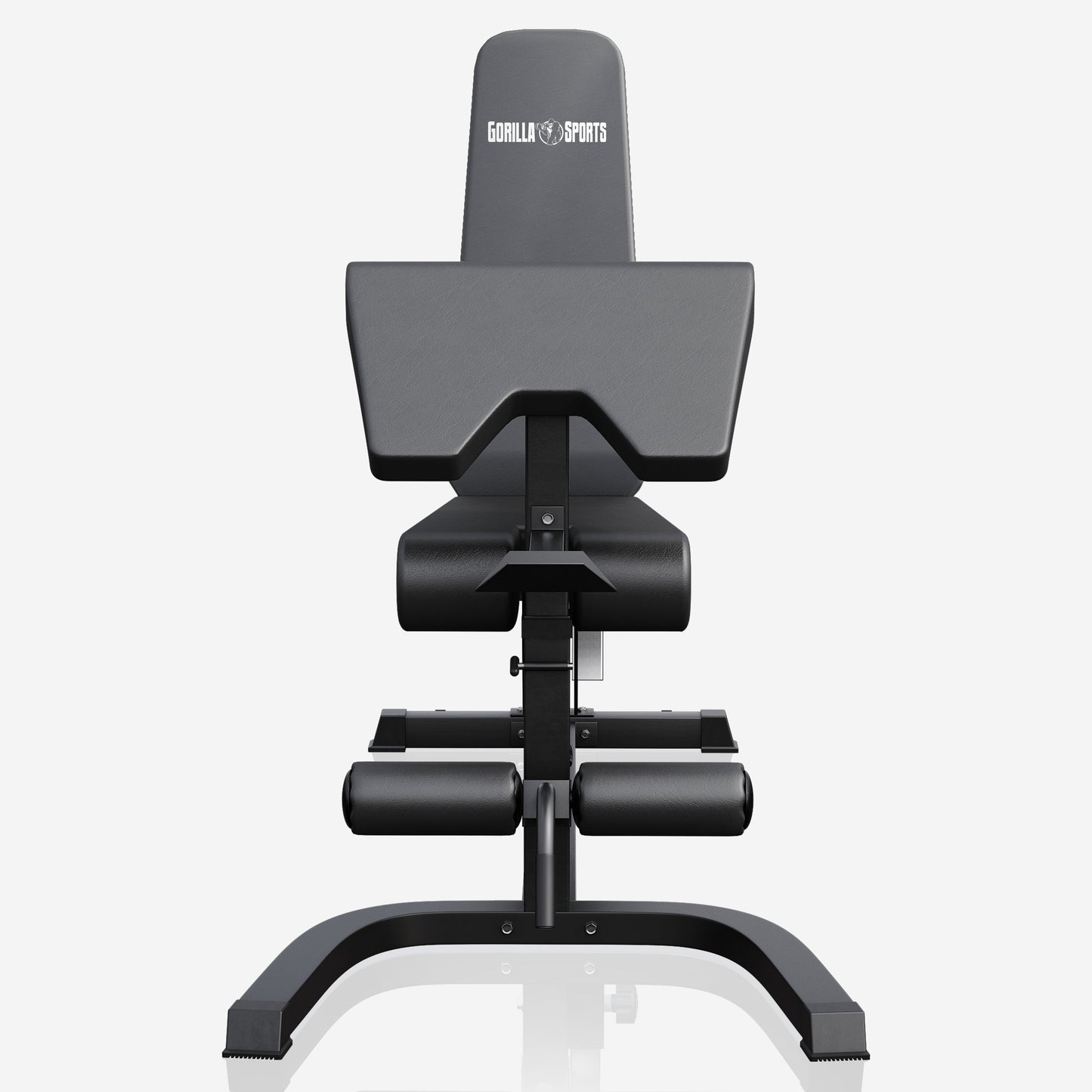 Panca Inclinata con Panca Scott e Leg Extension