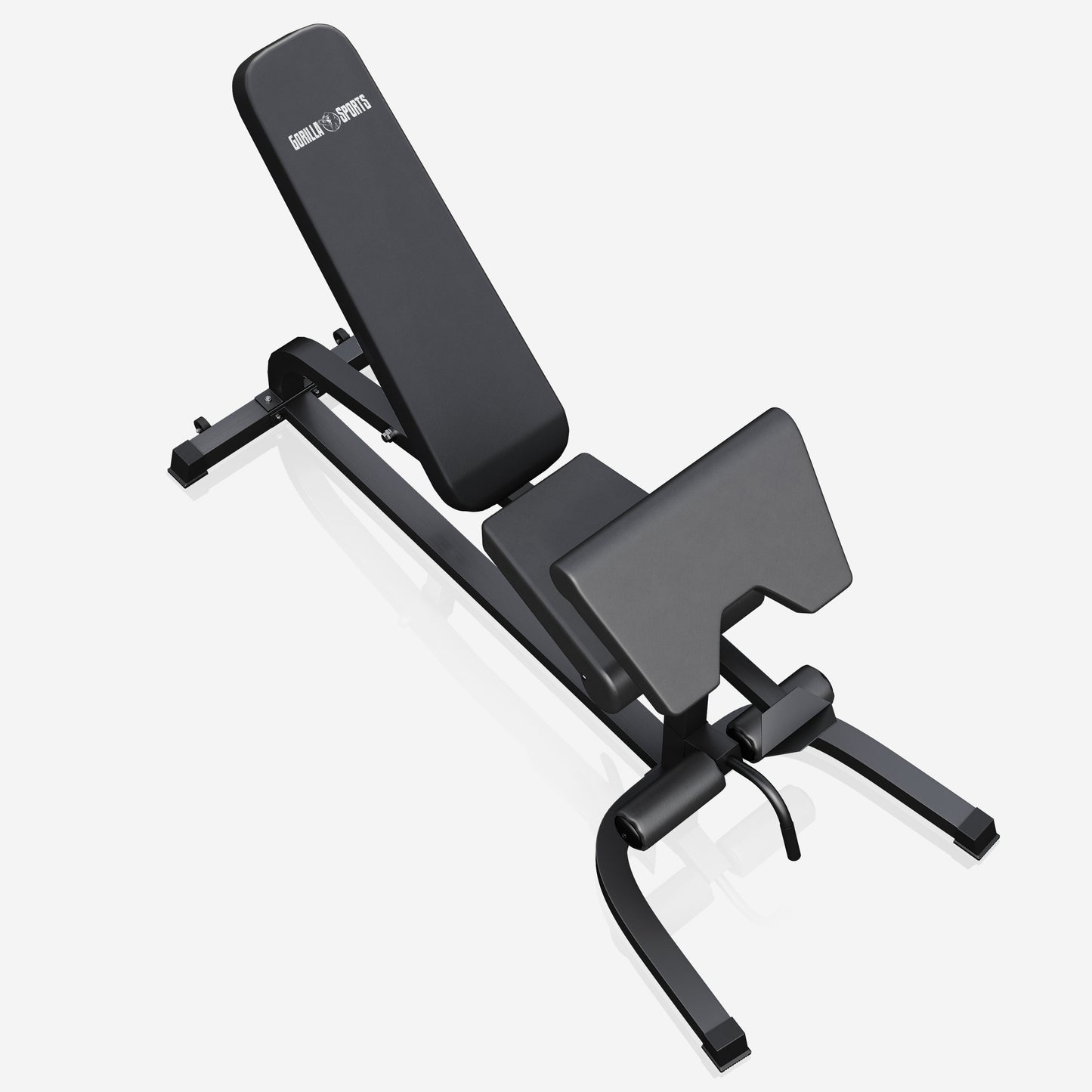 Panca Inclinata con Panca Scott e Leg Extension