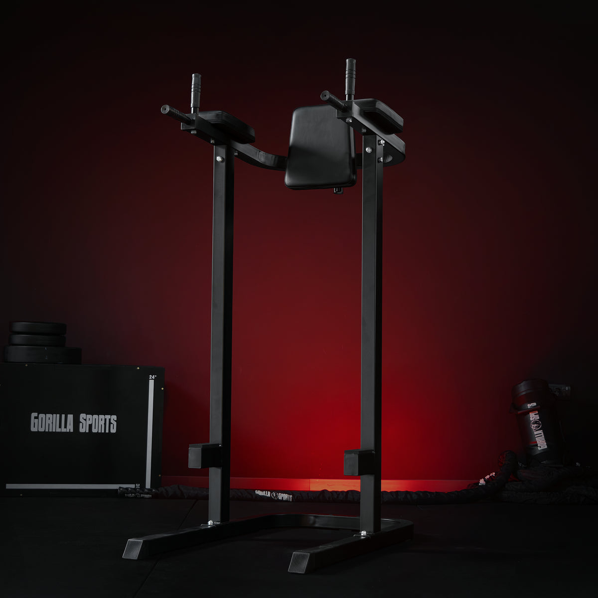 Dip Station Multifunzione