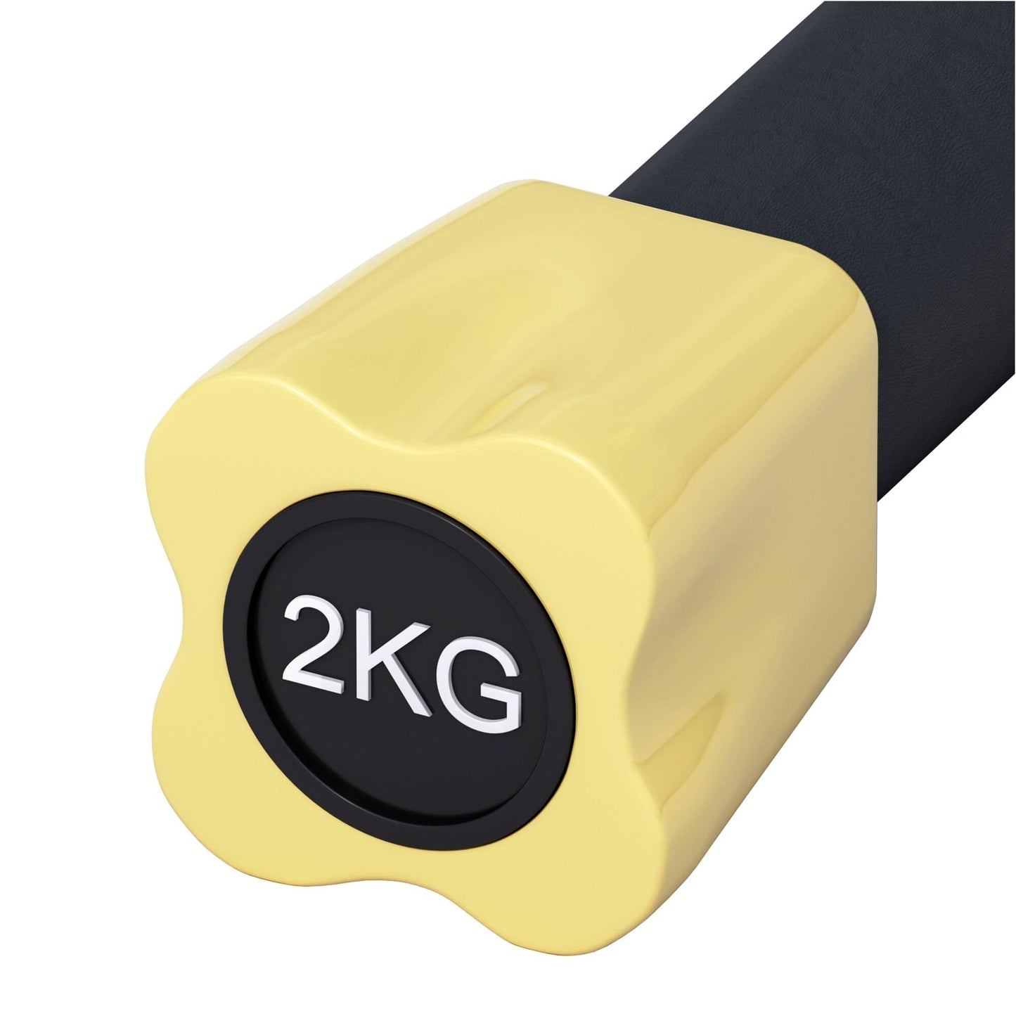 Barra Aerobica, peso a scelta 1 - 10 kg