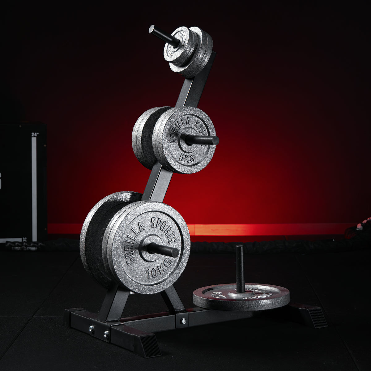Set Pesi Dischi in ghisa con Rastrelliera Ports Dischi 77,5 kg