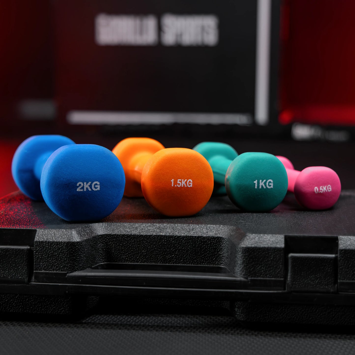 Set Manubri con Valigetta, 10 kg