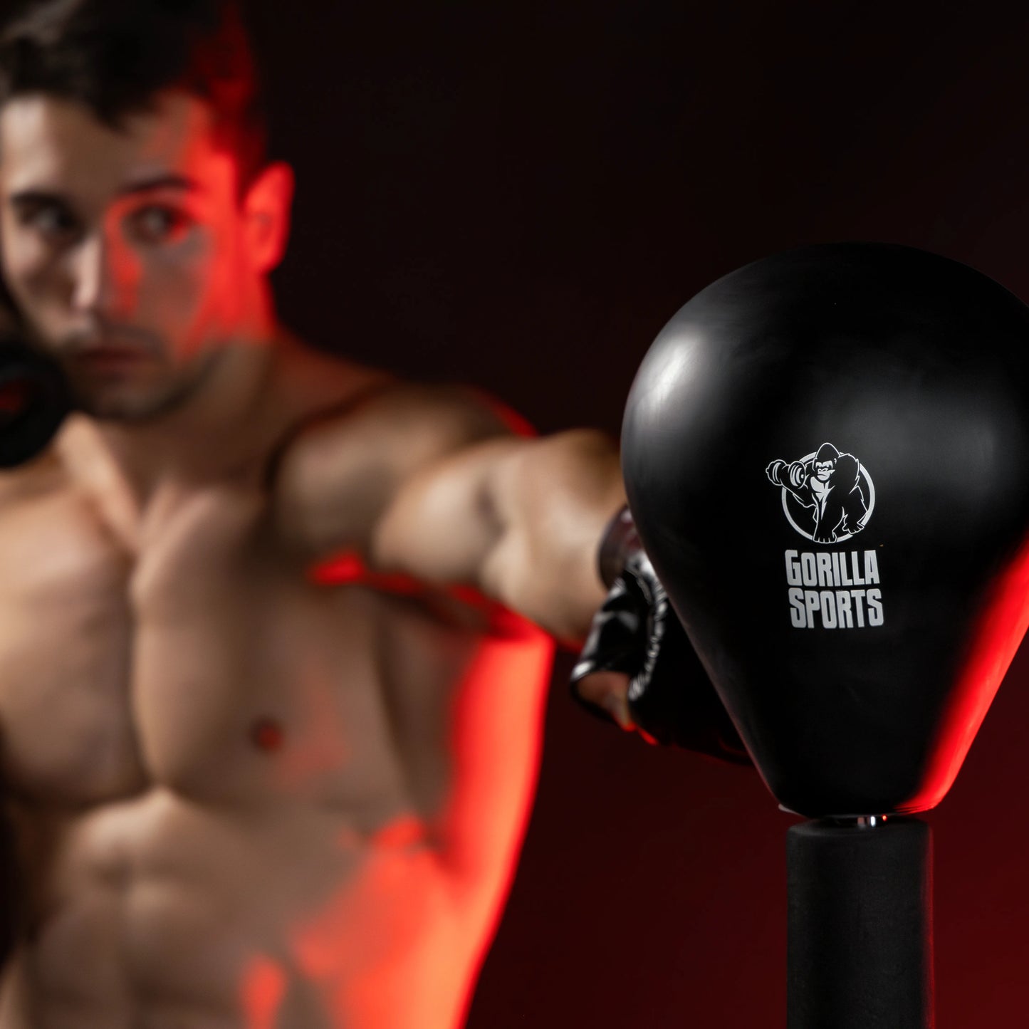 Punching Ball da Terra con Altezza Regolabile