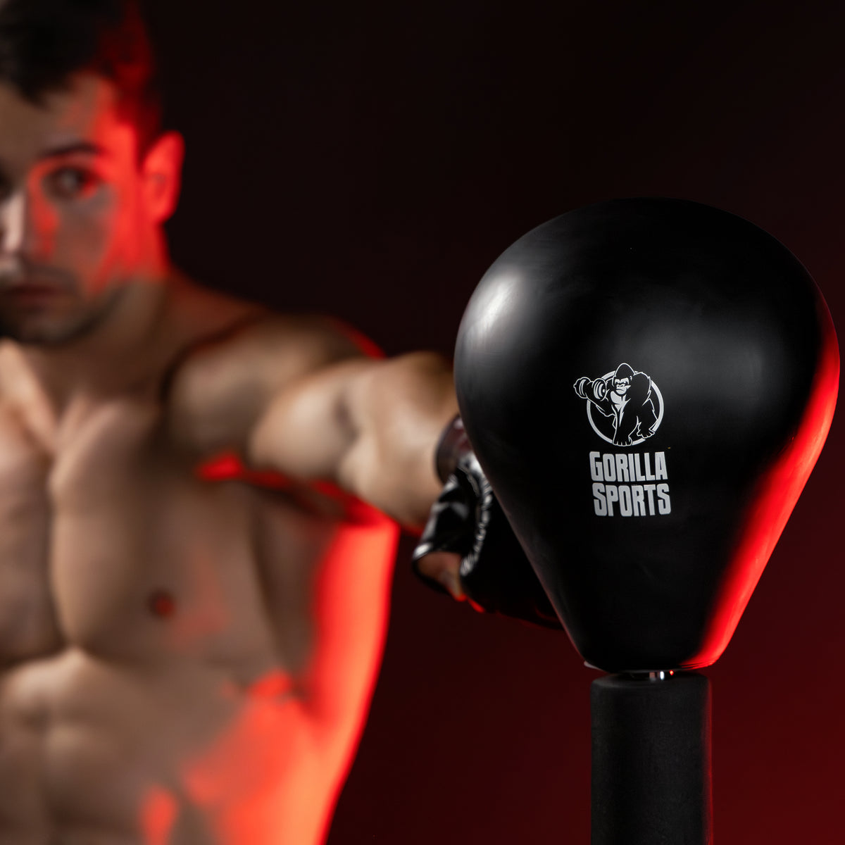 Punching Ball da Terra con Altezza Regolabile