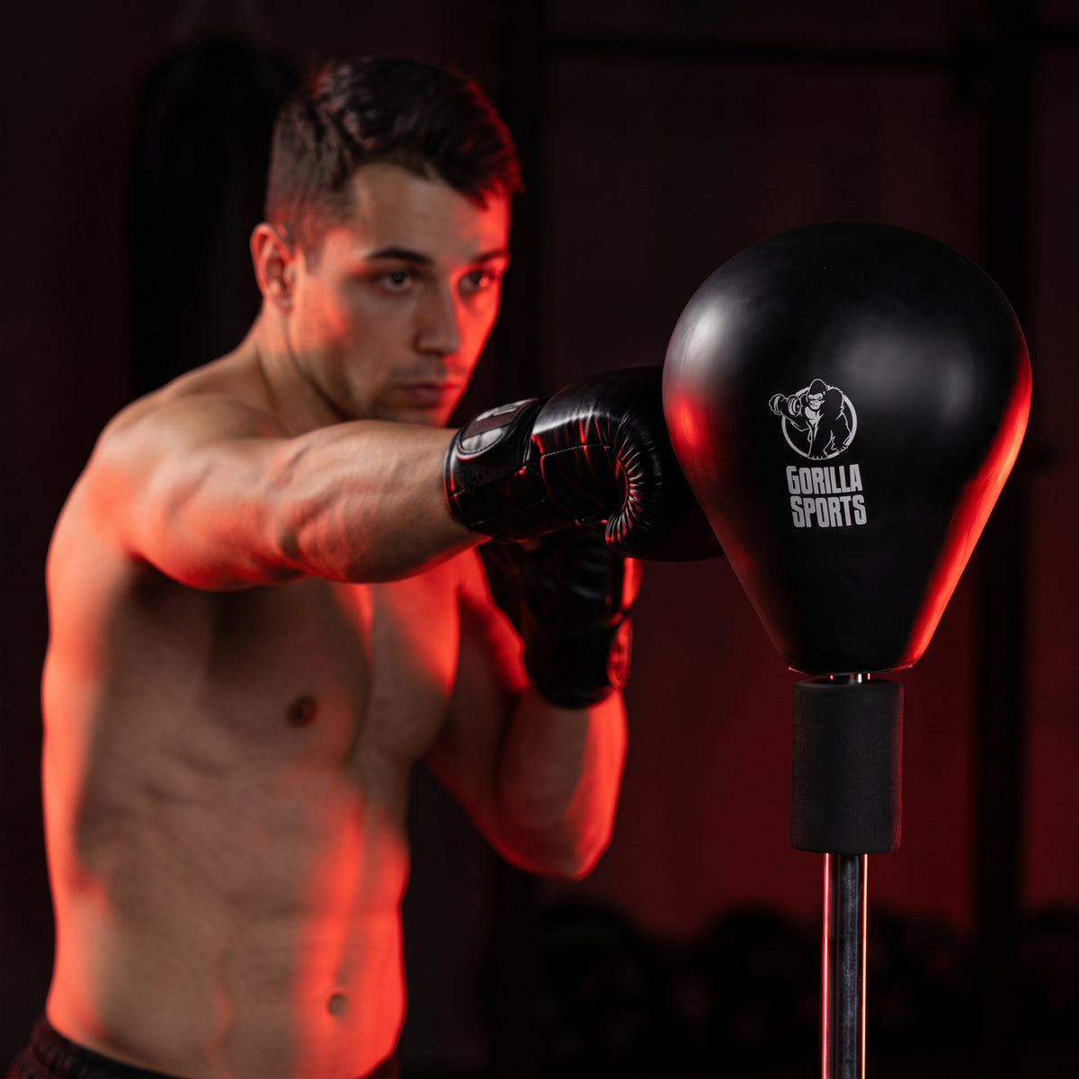 Punching Ball da Terra con Altezza Regolabile