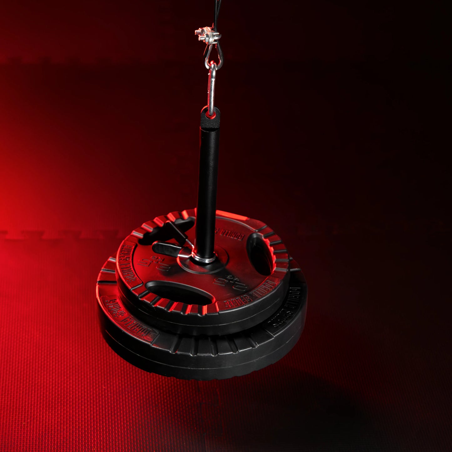 Sistema Pulley con Porta Dischi fino a 150 kg