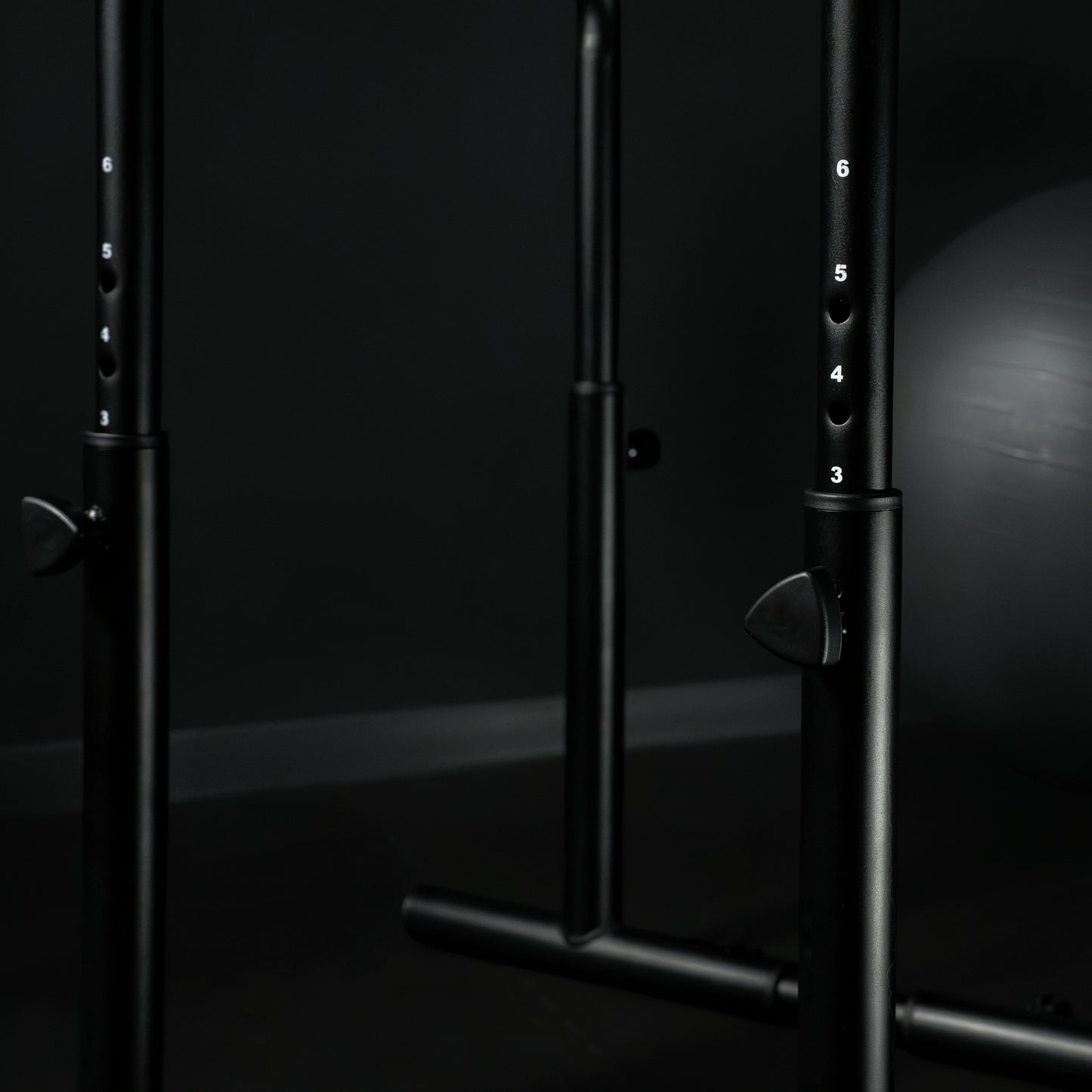 Parallele Dip Regolabili 500 kg