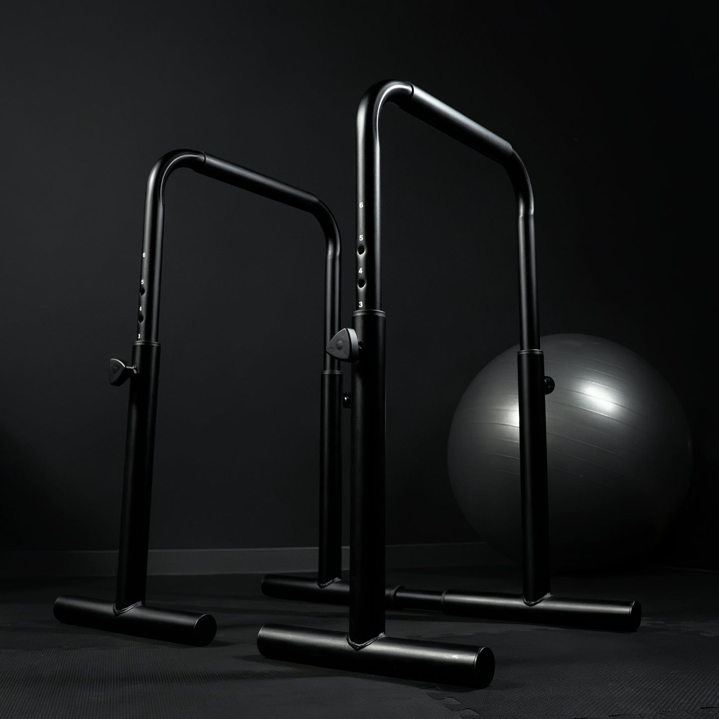 Parallele Dip Regolabili 500 kg