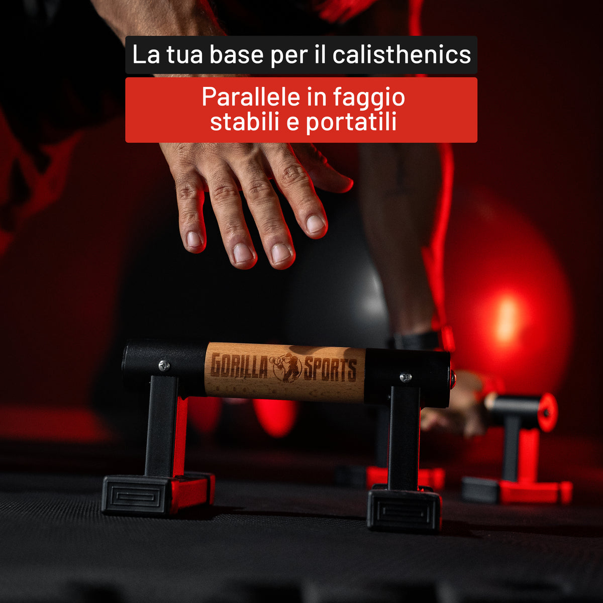 Parallette Push Up - Set da 2