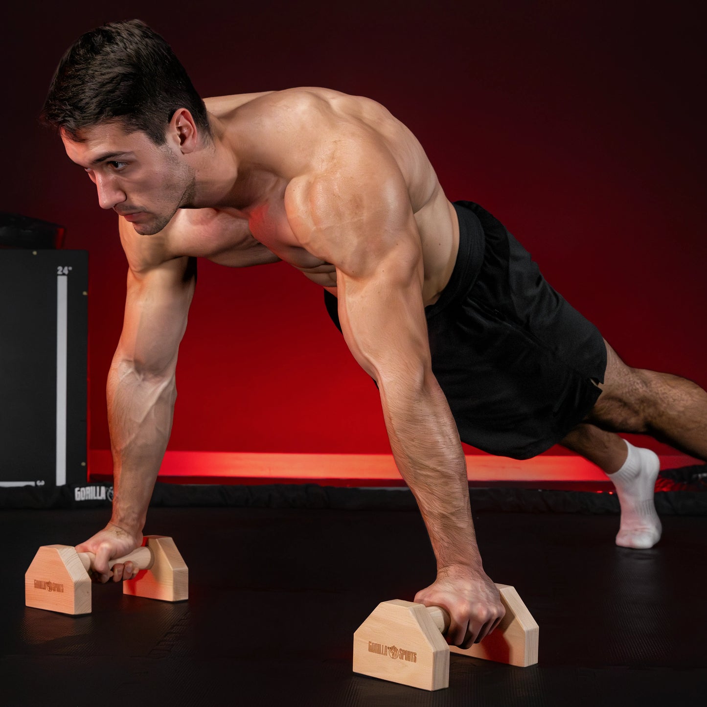 Parallette Push Up in legno