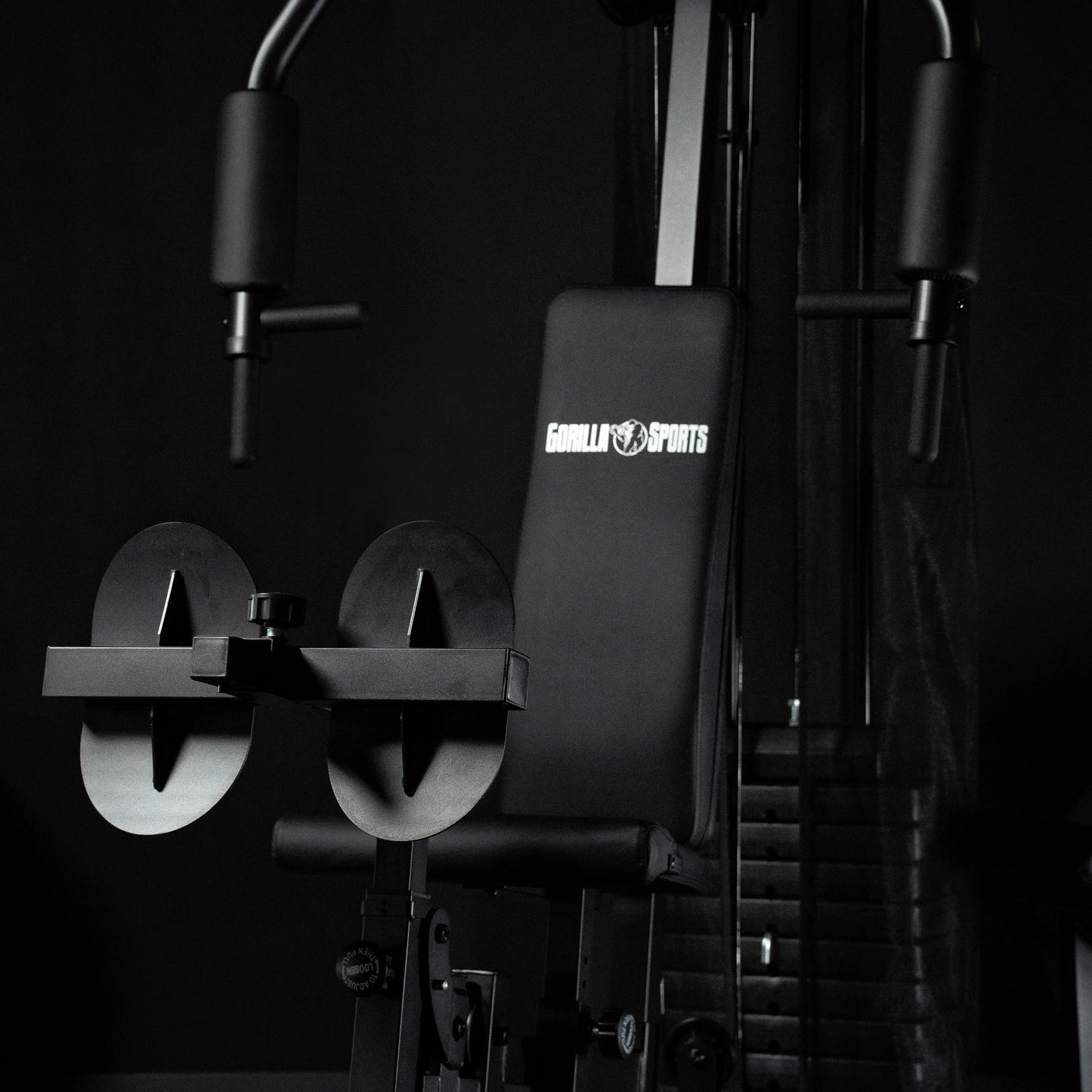 Stazione Multifunzione per Home Gym