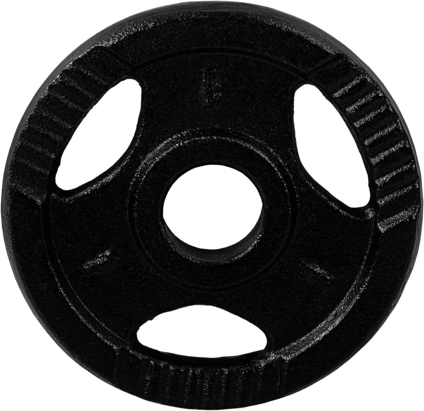 Set Dischi Pesi 30/31 mm, 2 - 30 kg, con impugnatura in ghisa
