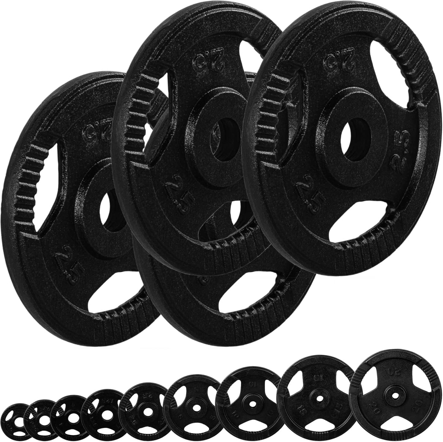 Set Dischi Pesi 30/31 mm, 2 - 30 kg, con impugnatura in ghisa