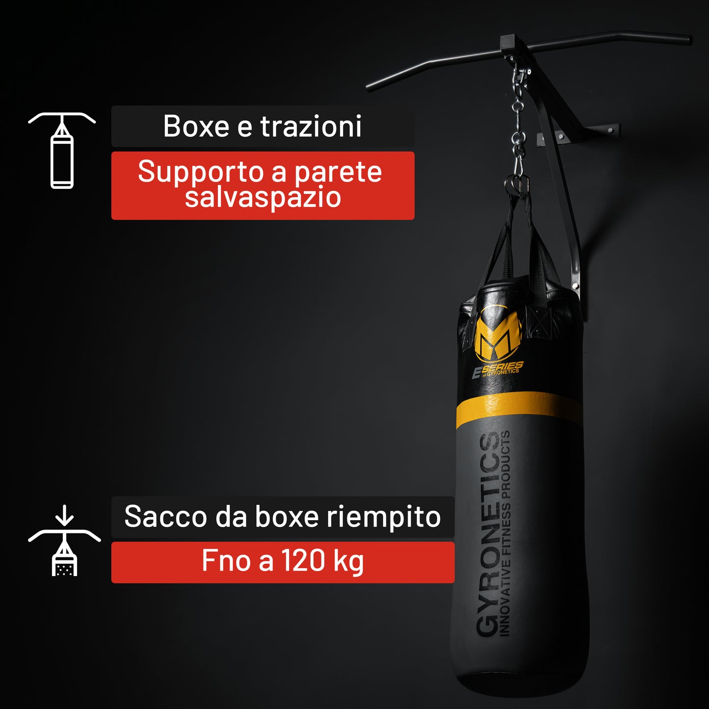 Sacco da Boxe E-Series con Supporto a Parete e Barra per Trazioni