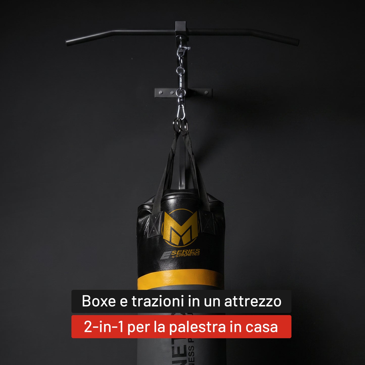 Sacco da Boxe E-Series con Supporto a Parete e Barra per Trazioni