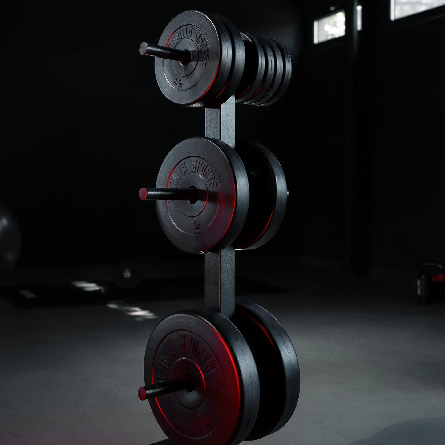 Rastrelliera Porta Dischi con 3 Supporti, 30/31 mm, in nero/bianco