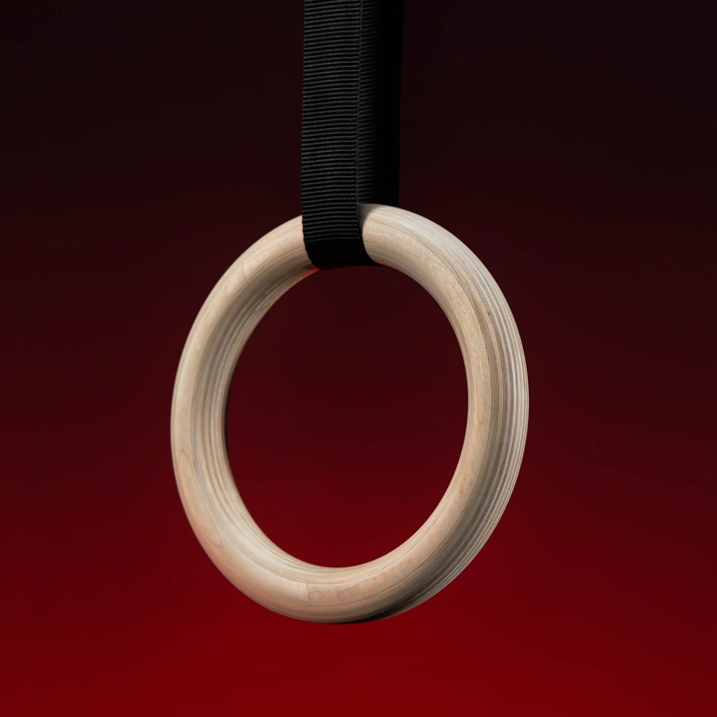Anelli Ginnastica Set