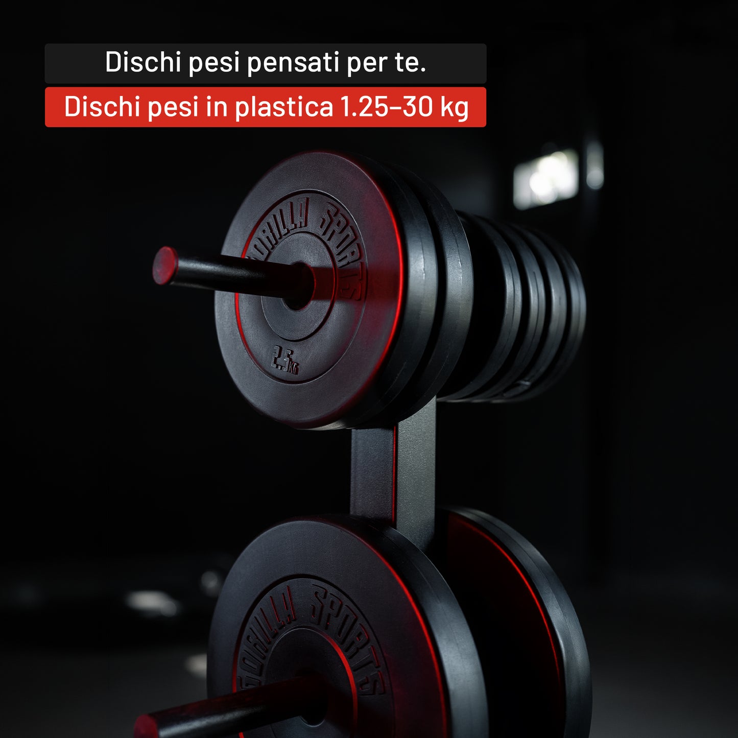 Dischi Pesi 30/31 mm,1,25-15kg in plastica