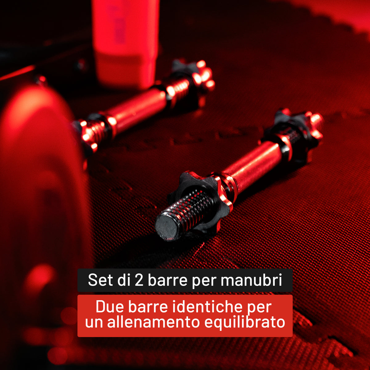 Set 2 Manubri 35 cm con Chiusure a Stella